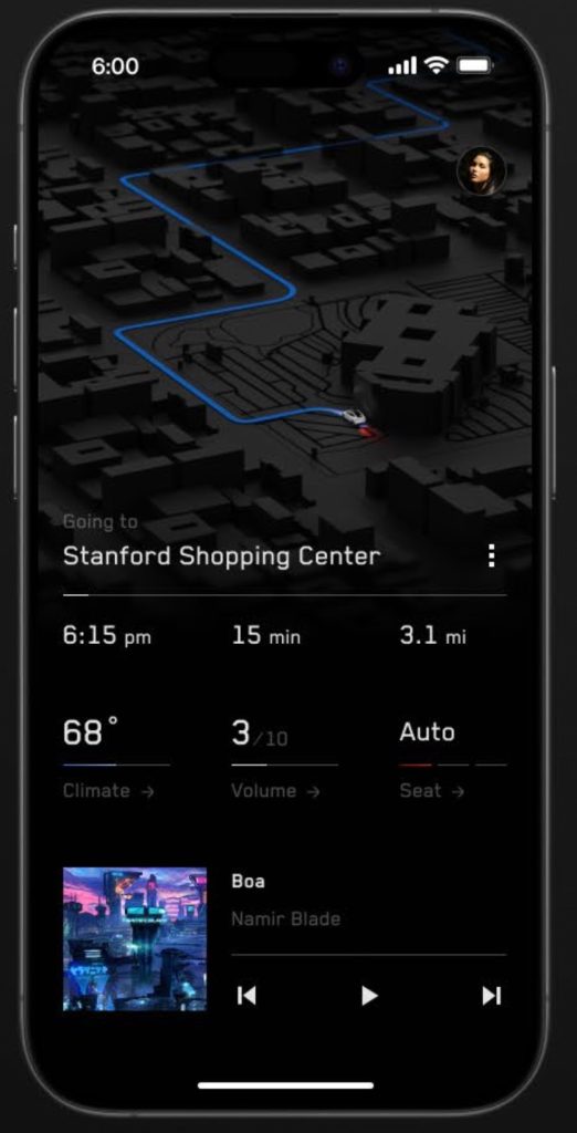 Tesla ride-hailing app